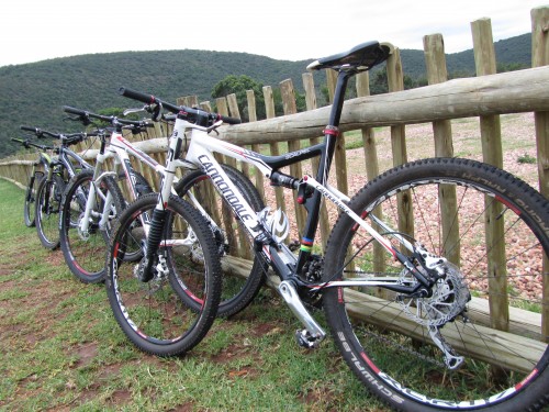 Mountain biking MTB