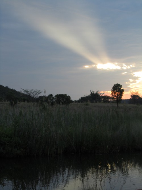 Waterberg sunset