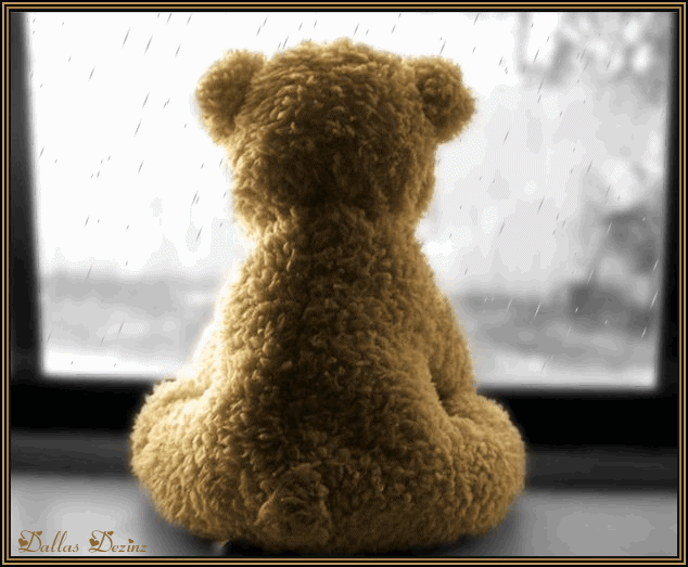 Lonely bear