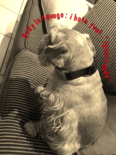 Cold shoulder from Annie