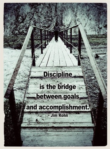 discipline
