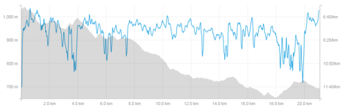 The race profile. Downhill all the way home.