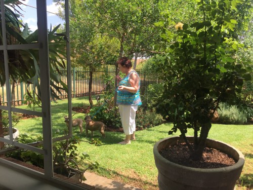 My Mom taking the girls on walks while I snoozed