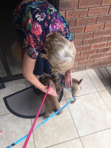 Meeting the friendly neighbor