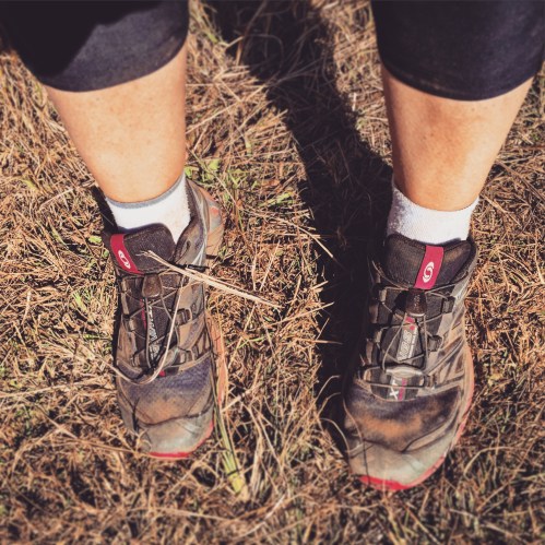 Dusty trail running shoes