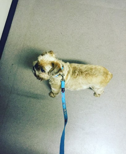 Monthly checkups with Dr Carter and she stands at the door waiting to get outta there!